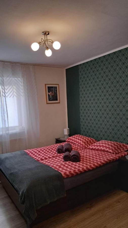 Apartament W Centrum Cichy Zakatek Ґлівіце Екстер'єр фото