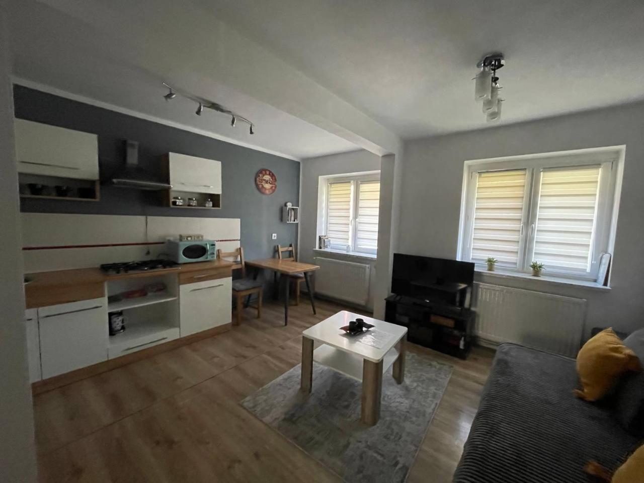 Apartament W Centrum Cichy Zakatek Ґлівіце Екстер'єр фото